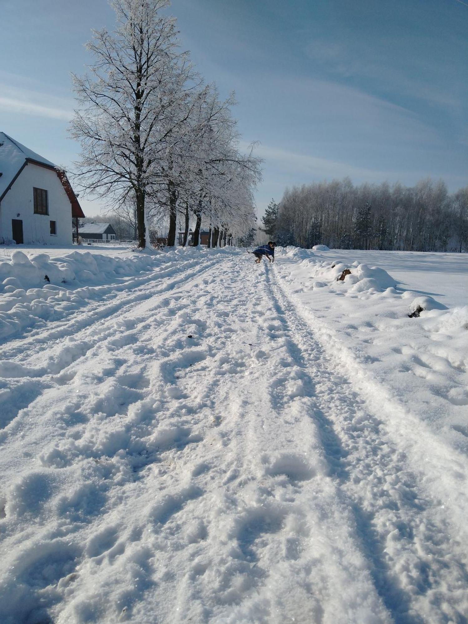 Domek Przy Stajni Bogdanowka Caloroczny Rossosz エクステリア 写真